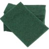 10 Pack Cleaning Pads